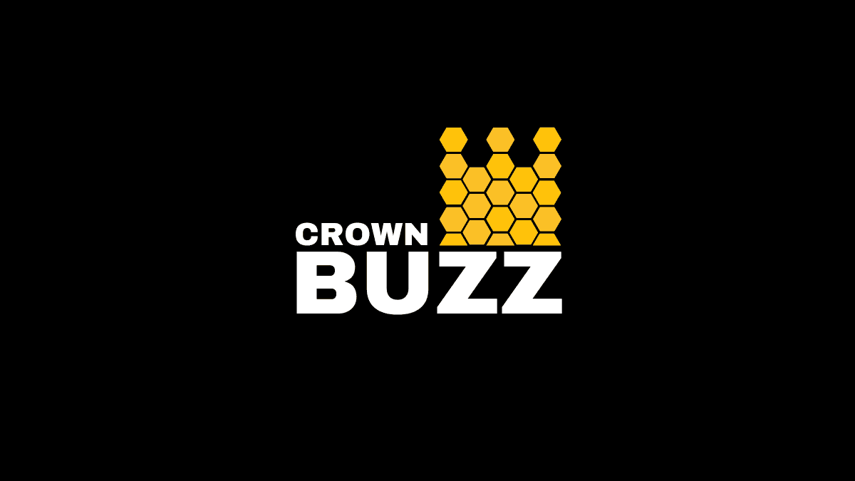 Read more about the article The Newcomer: CrownBuzz